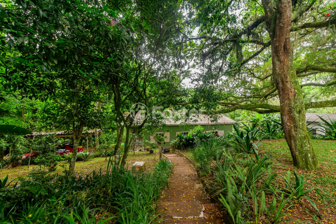 Sítio à venda com 3 quartos, 6118m² - Foto 61