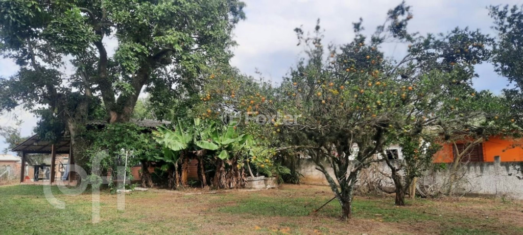 Casa à venda com 2 quartos, 110m² - Foto 6
