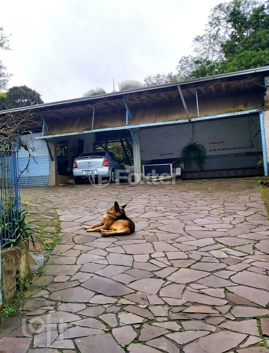 Casa à venda com 4 quartos, 360m² - Foto 4