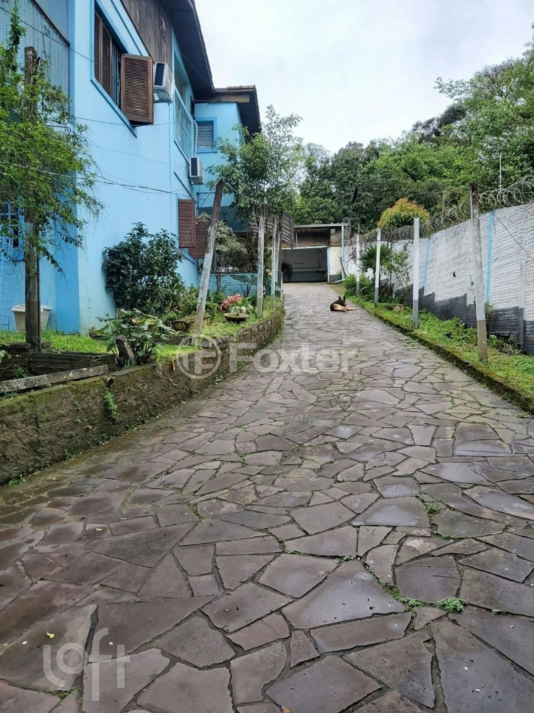 Casa à venda com 4 quartos, 360m² - Foto 5