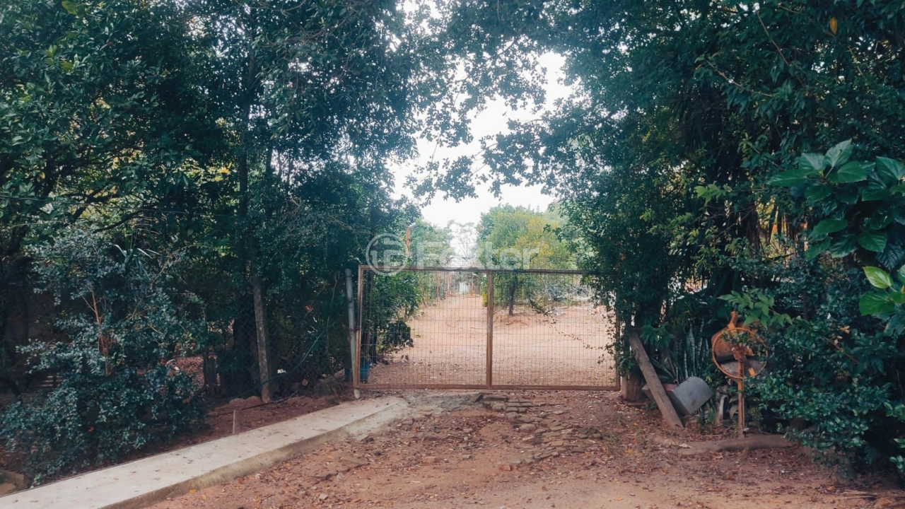 Sítio à venda com 3 quartos, 156m² - Foto 5