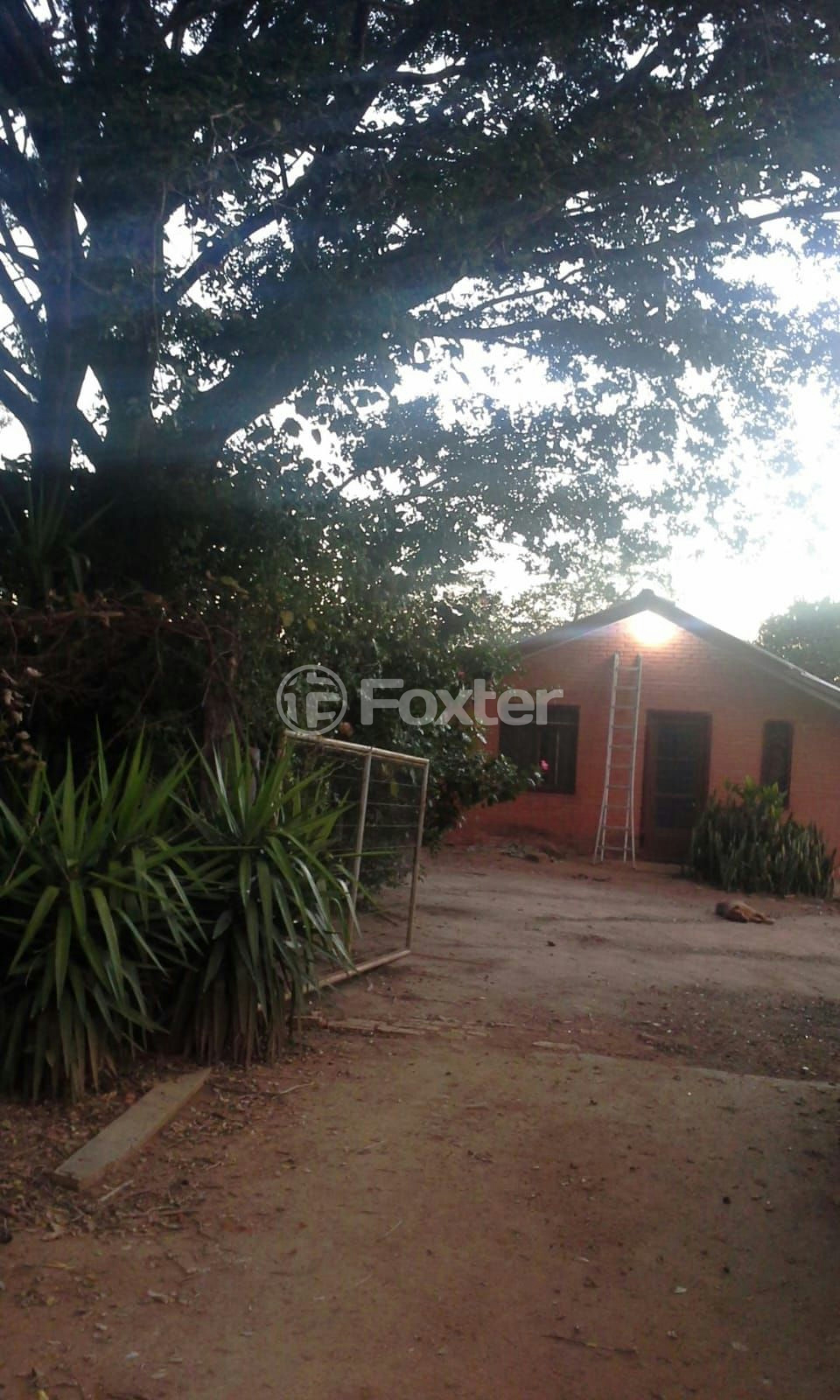 Sítio à venda com 3 quartos, 156m² - Foto 6