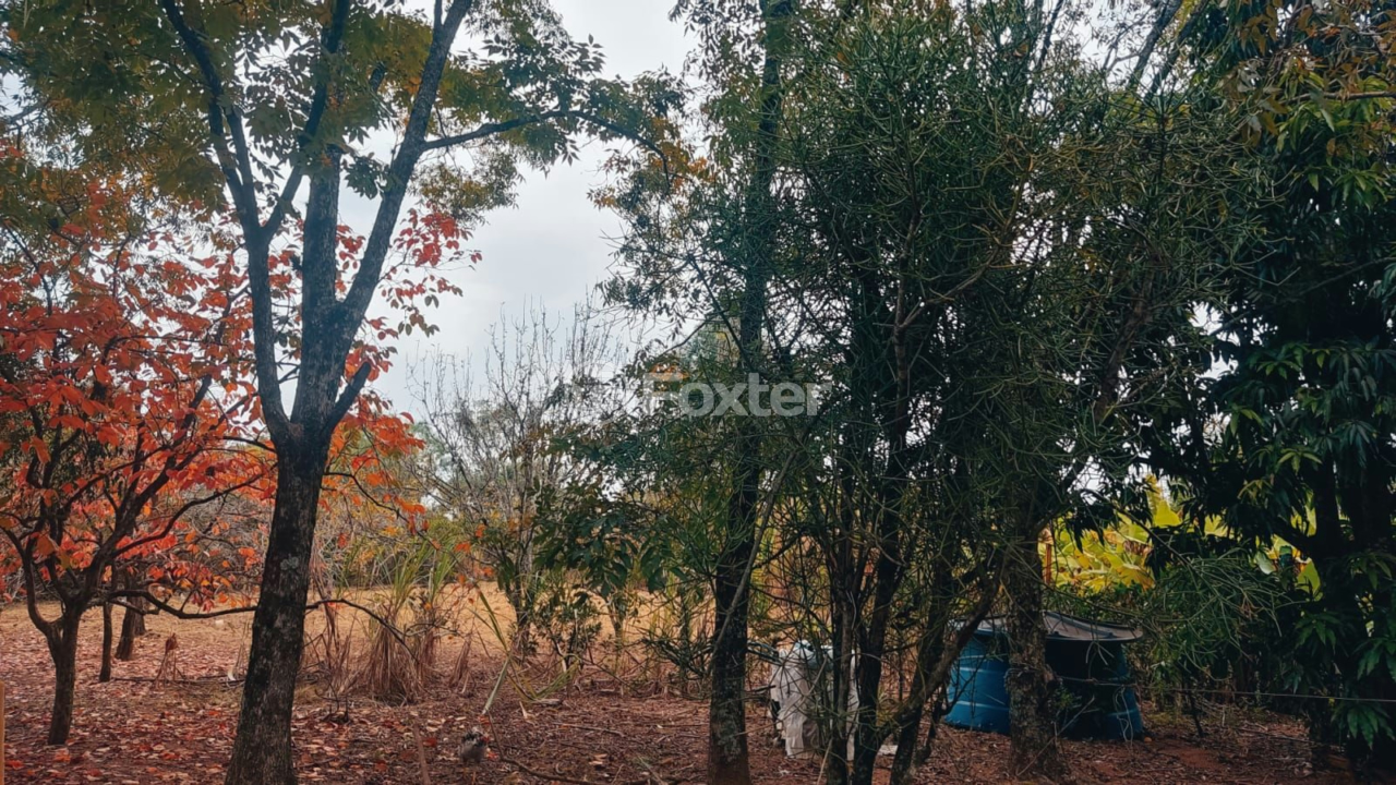 Sítio à venda com 3 quartos, 156m² - Foto 4