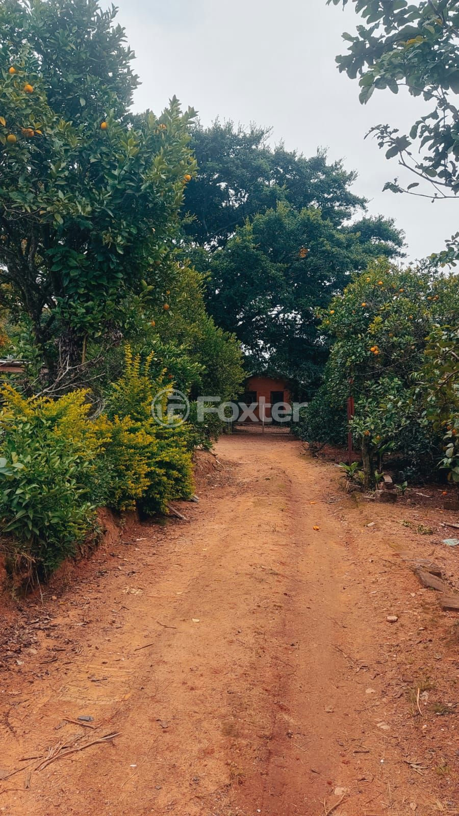 Sítio à venda com 3 quartos, 156m² - Foto 1