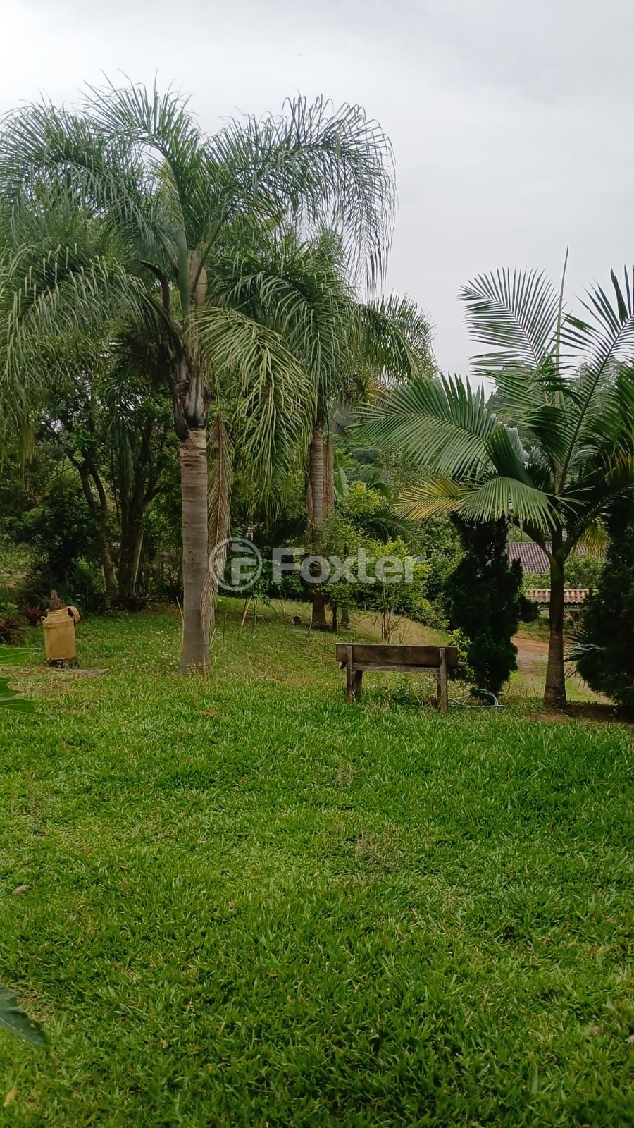 Fazenda à venda com 3 quartos, 120m² - Foto 2