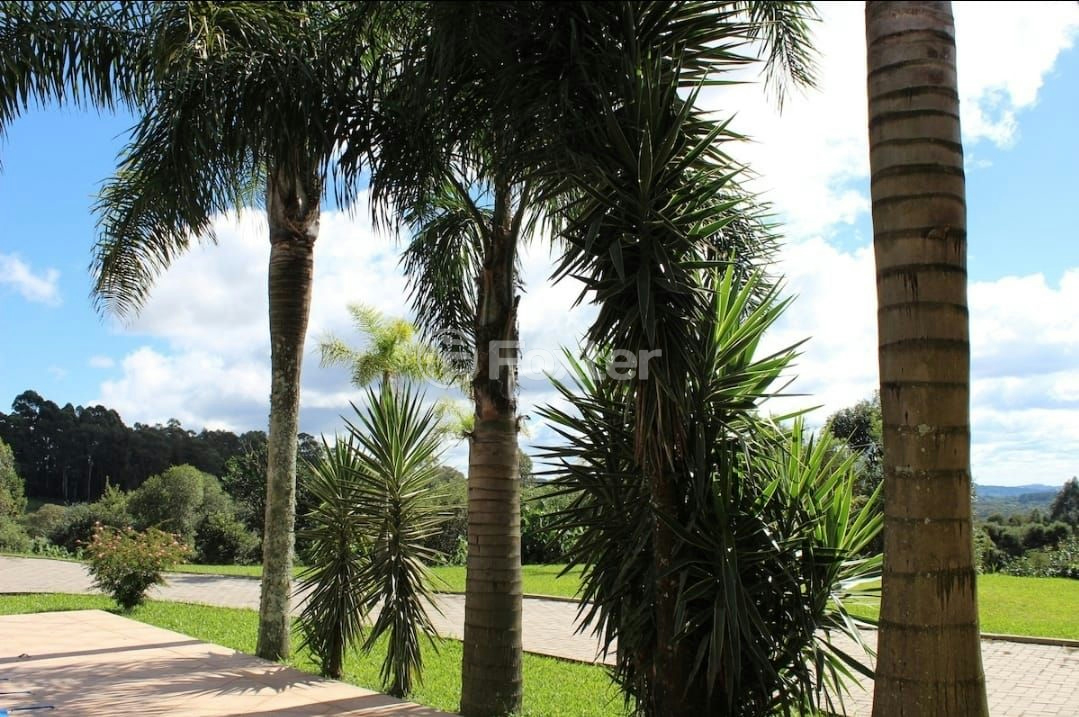 Chácara à venda com 3 quartos, 303m² - Foto 5