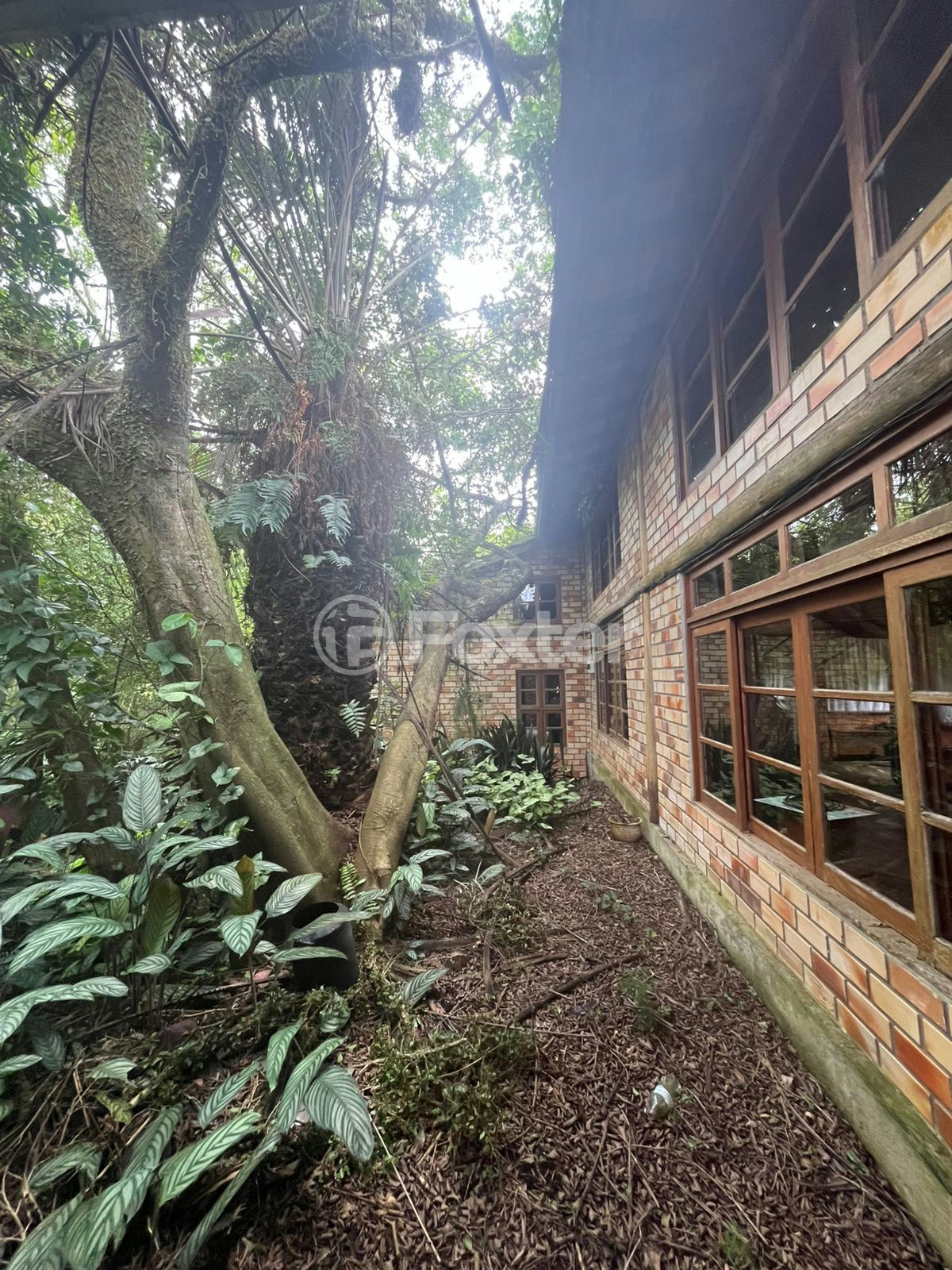 Sítio à venda com 60 quartos, 420000m² - Foto 23