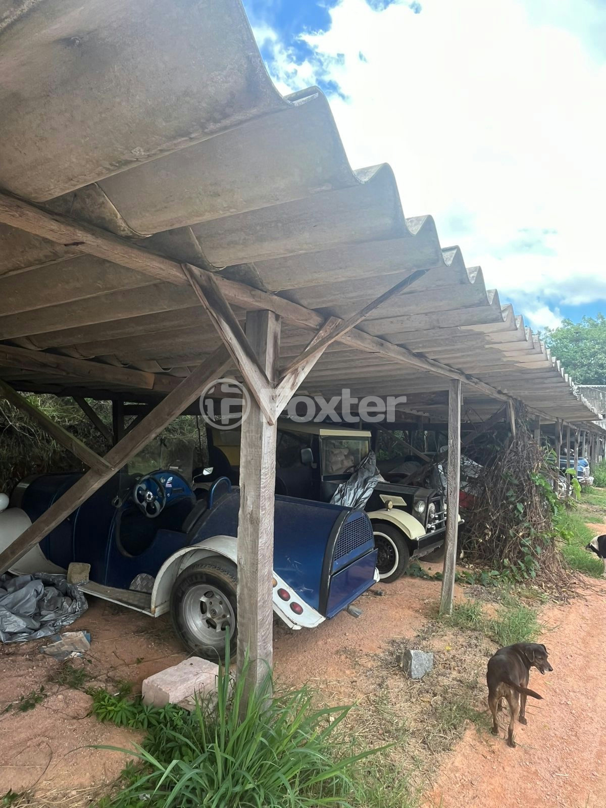 Sítio à venda com 60 quartos, 420000m² - Foto 7