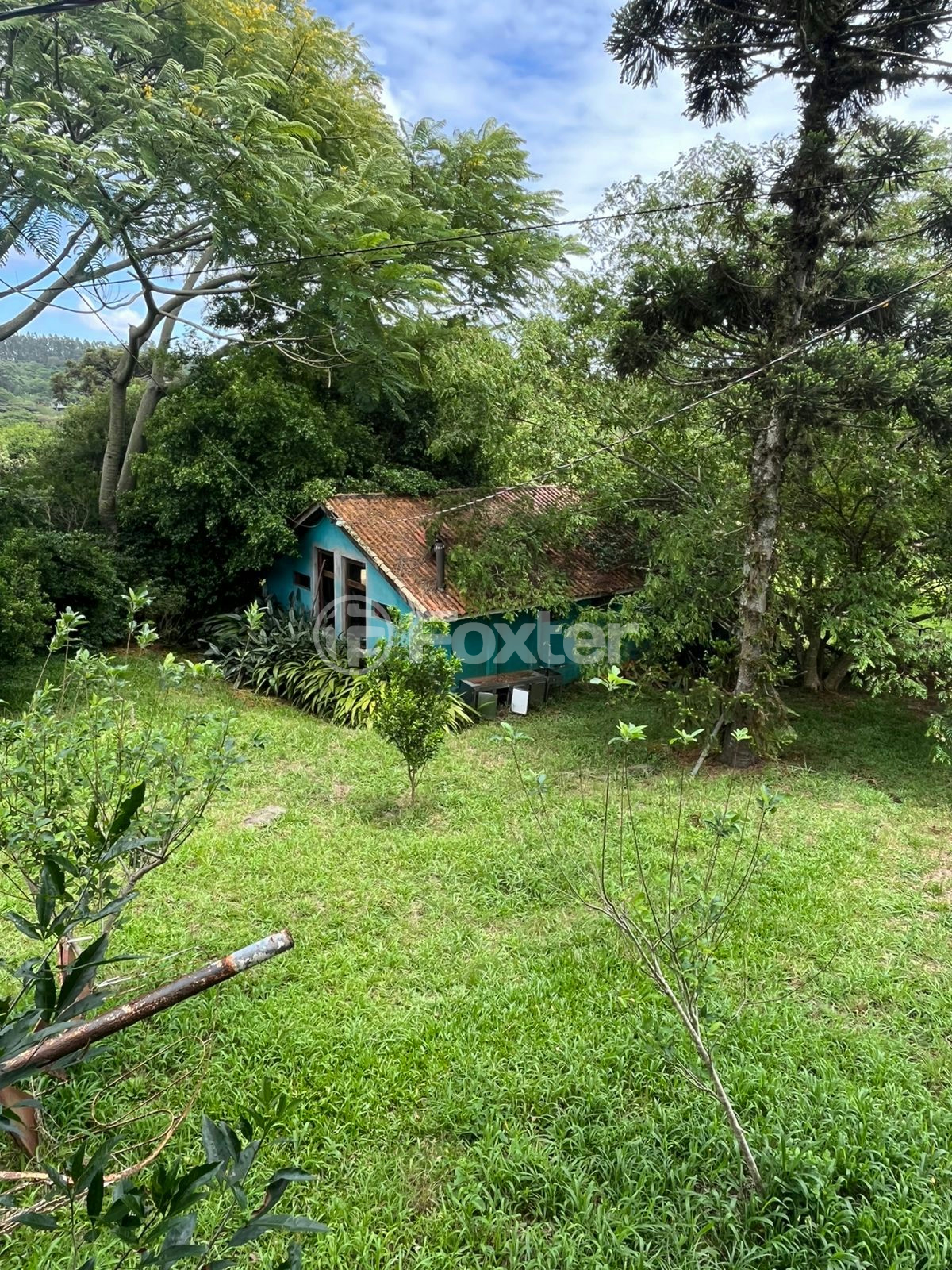 Sítio à venda com 60 quartos, 420000m² - Foto 30