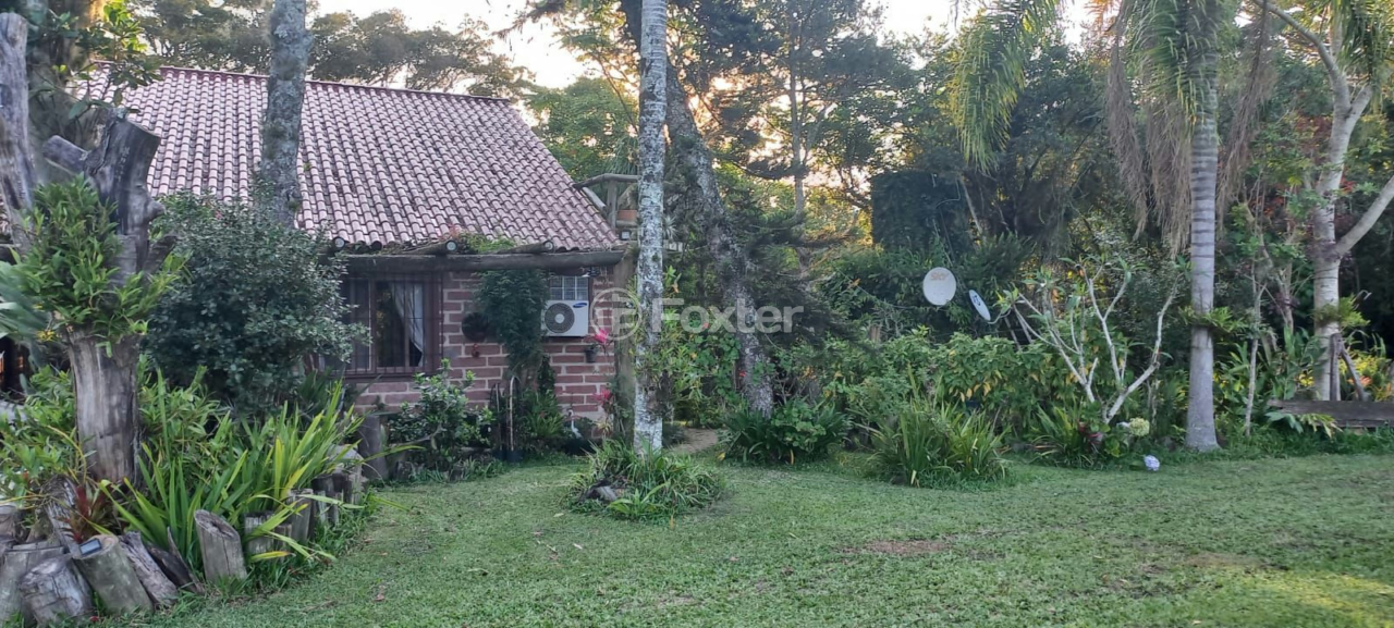 Sítio à venda com 2 quartos, 5000m² - Foto 48
