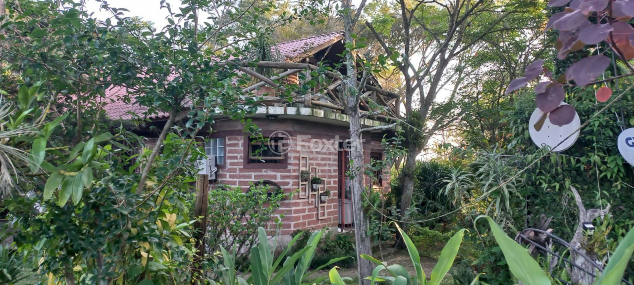Sítio à venda com 2 quartos, 5000m² - Foto 47