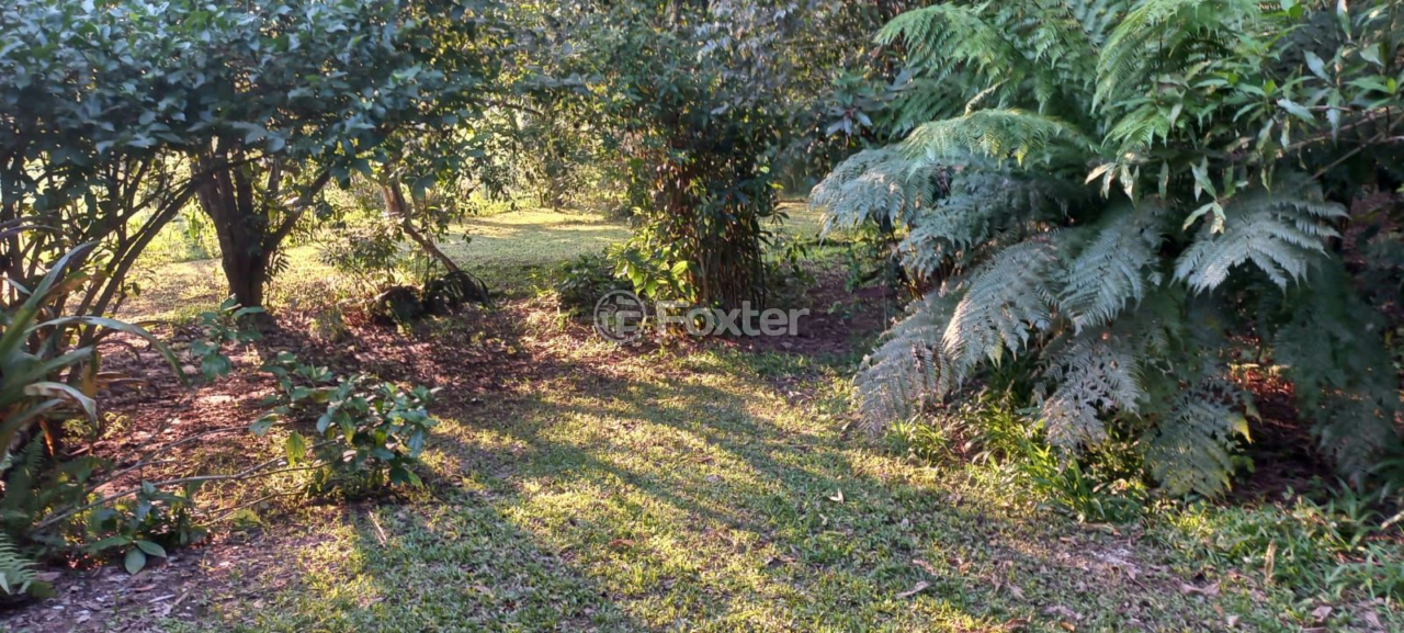 Sítio à venda com 2 quartos, 5000m² - Foto 3
