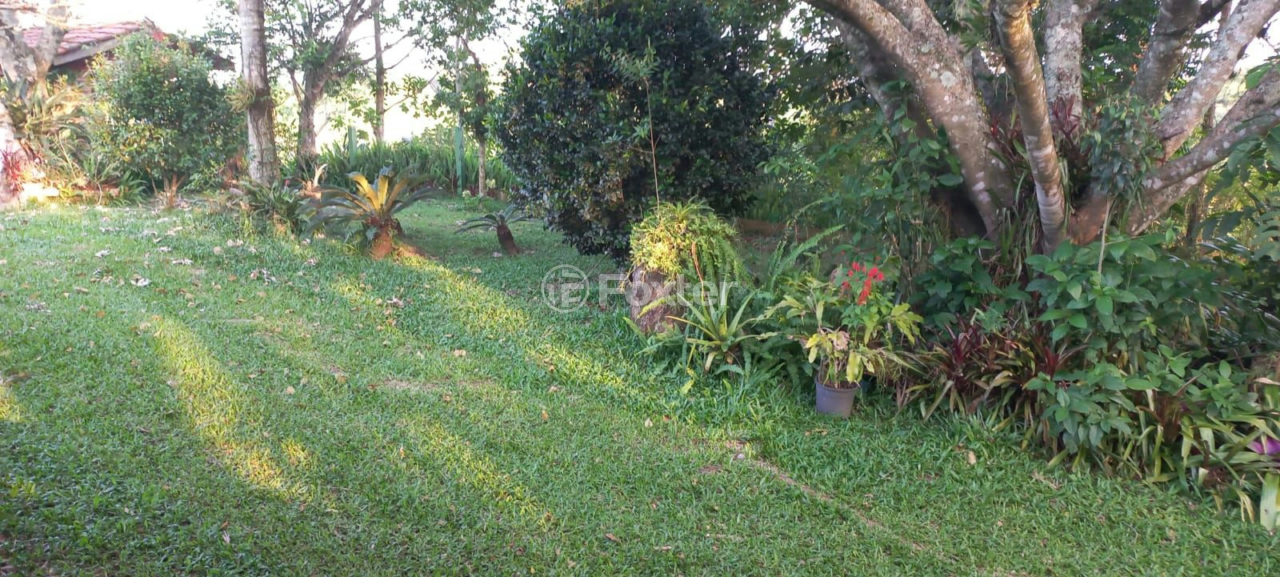 Sítio à venda com 2 quartos, 5000m² - Foto 52
