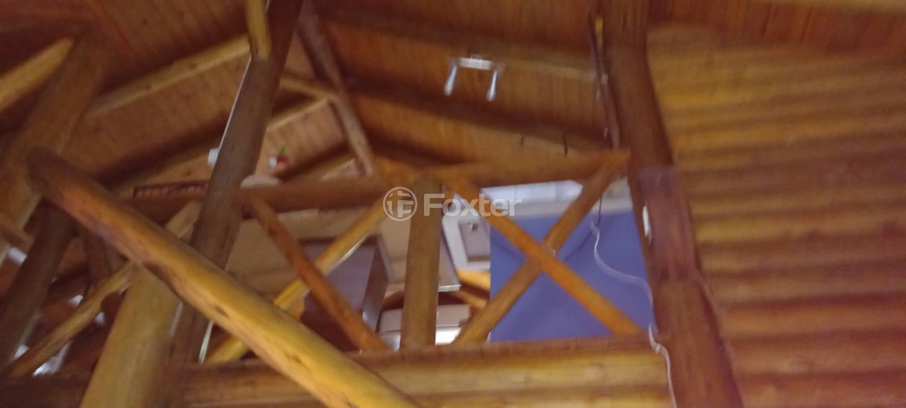 Sítio à venda com 2 quartos, 5000m² - Foto 6