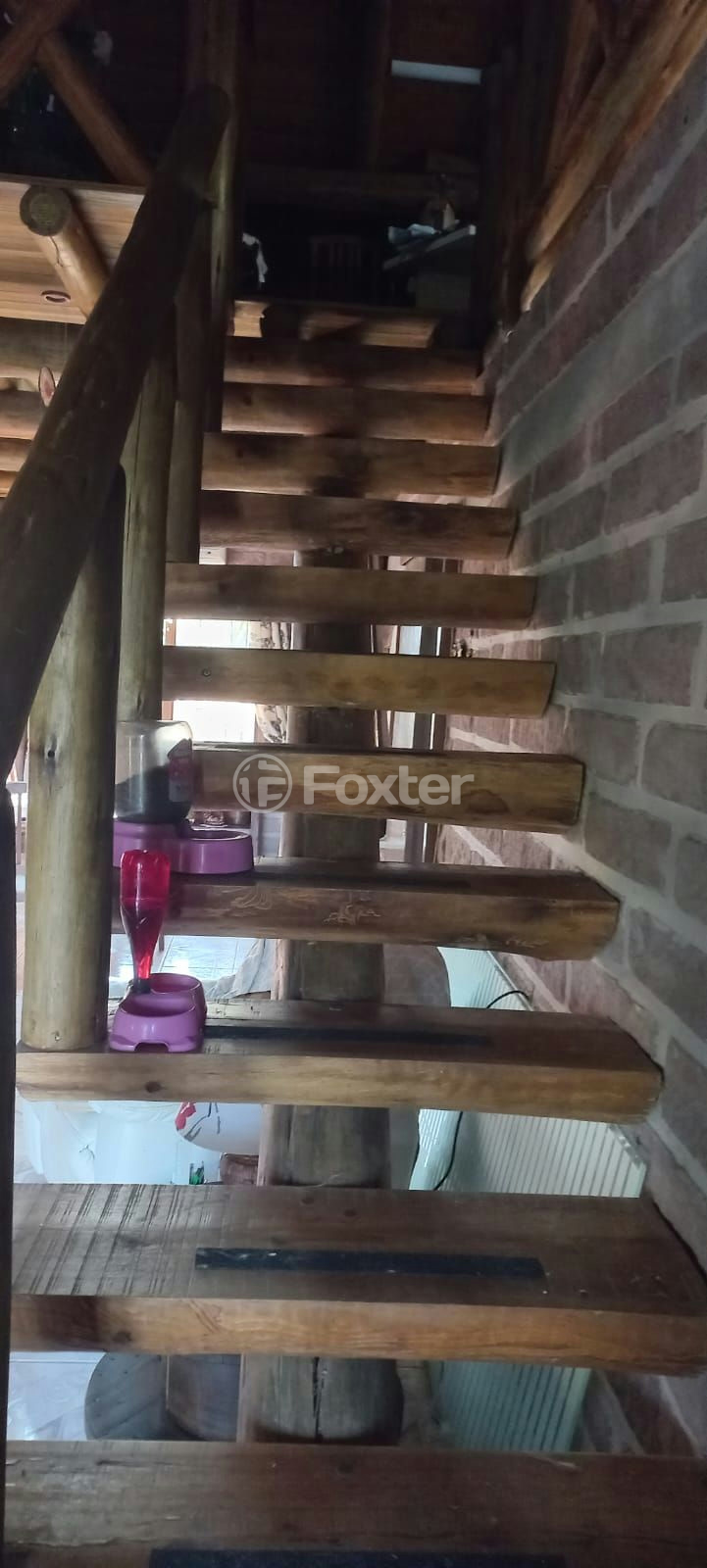 Sítio à venda com 2 quartos, 5000m² - Foto 25