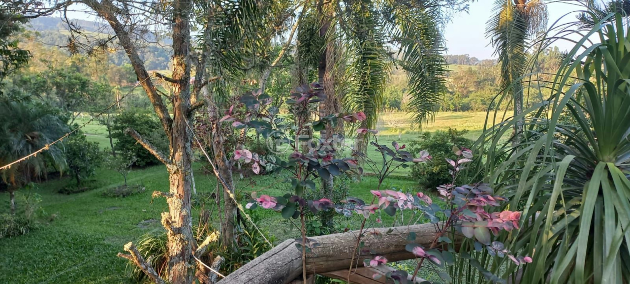 Sítio à venda com 2 quartos, 5000m² - Foto 46