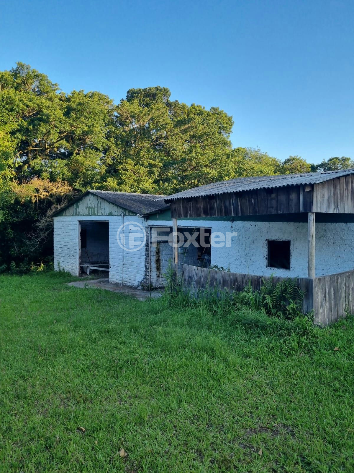 Sítio à venda com 3 quartos, 1085m² - Foto 94