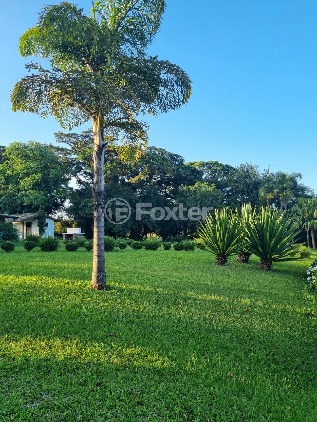 Sítio à venda com 3 quartos, 1085m² - Foto 71