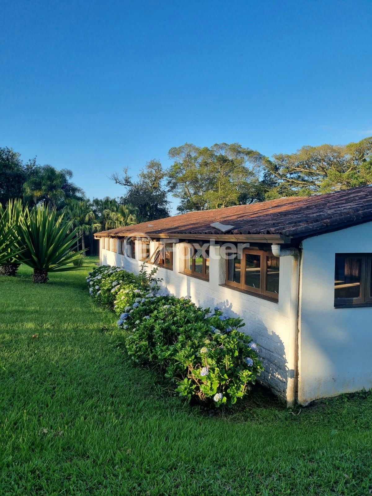 Sítio à venda com 3 quartos, 1085m² - Foto 54