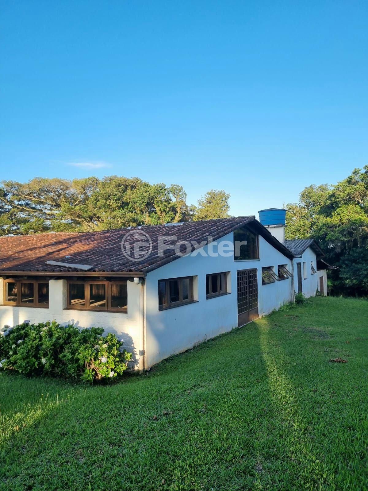 Sítio à venda com 3 quartos, 1085m² - Foto 51