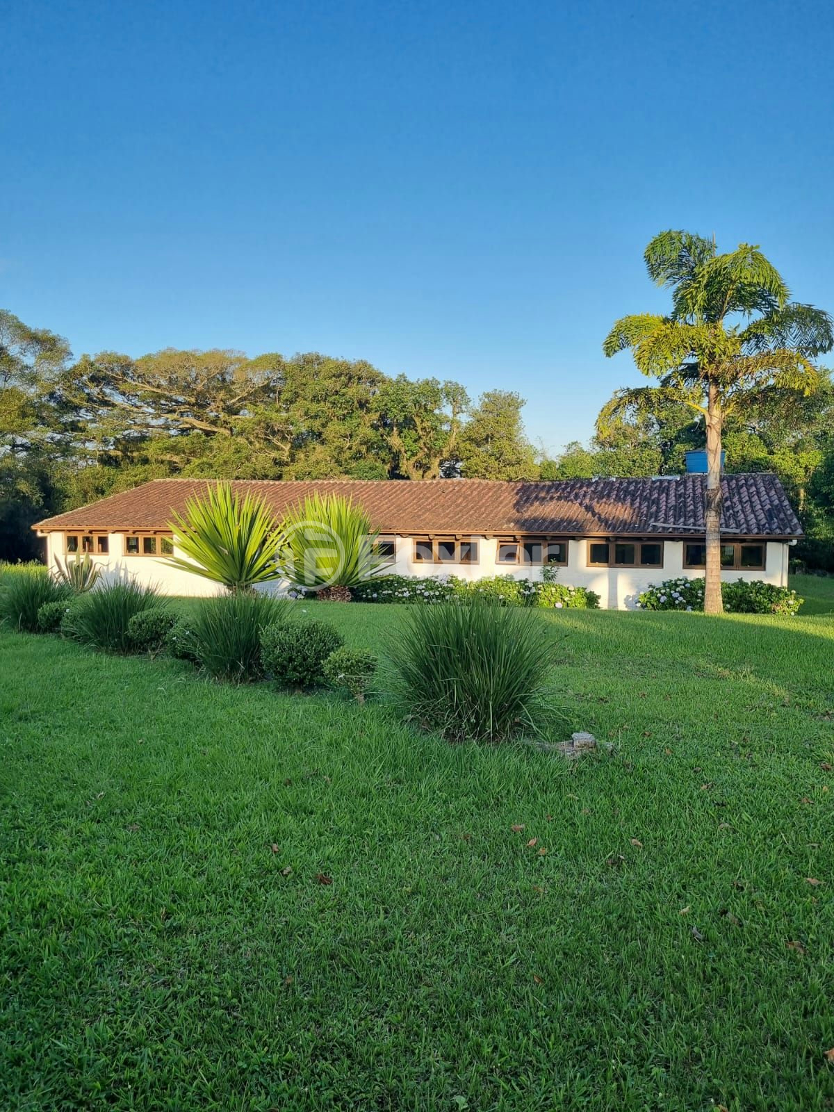 Sítio à venda com 3 quartos, 1085m² - Foto 66