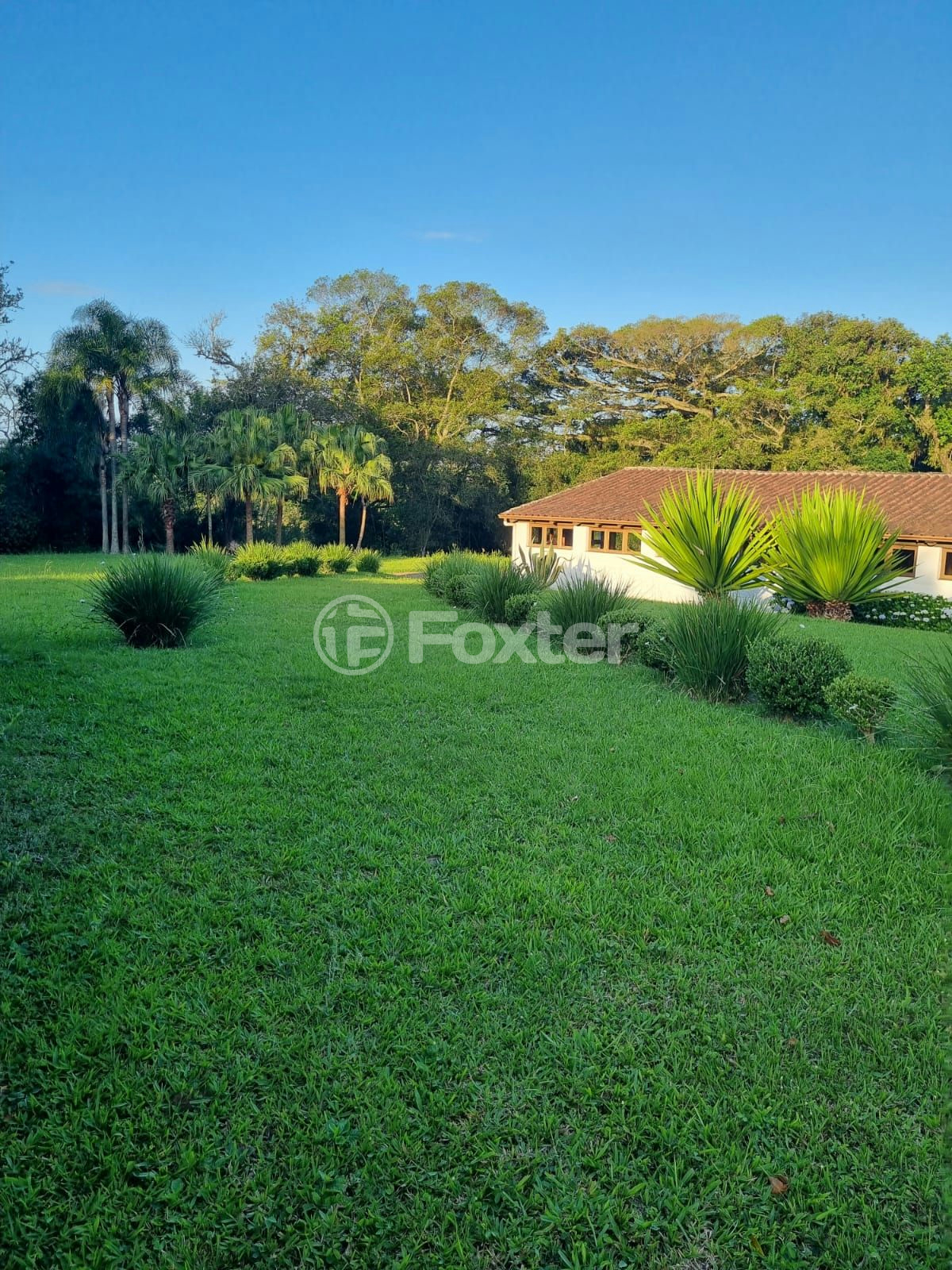 Sítio à venda com 3 quartos, 1085m² - Foto 67
