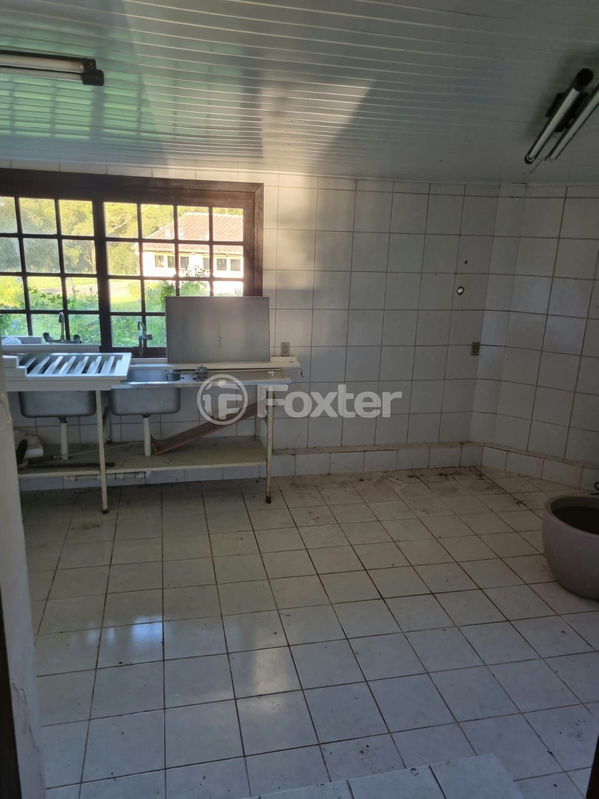 Sítio à venda com 3 quartos, 1085m² - Foto 13
