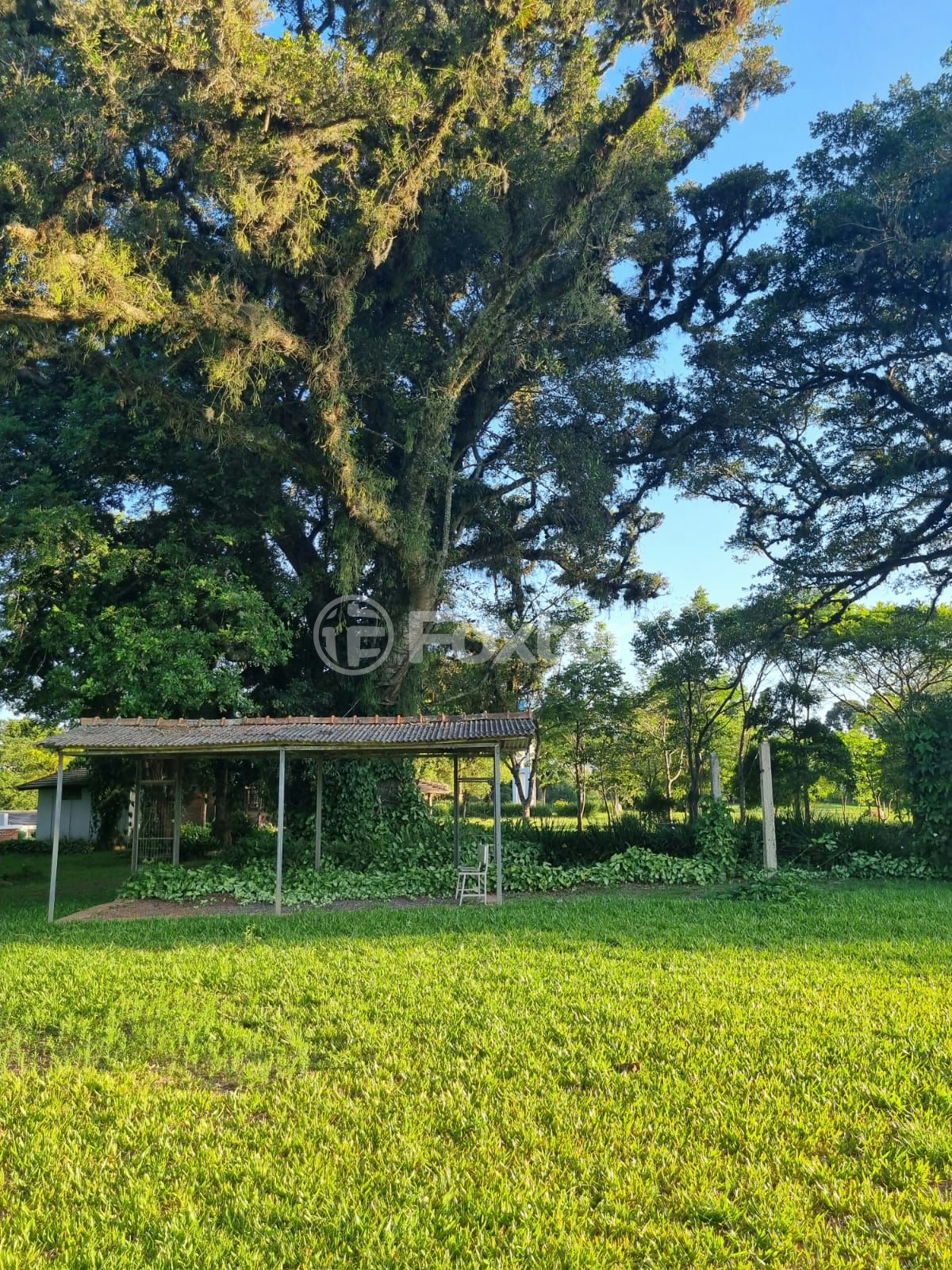 Sítio à venda com 3 quartos, 1085m² - Foto 74