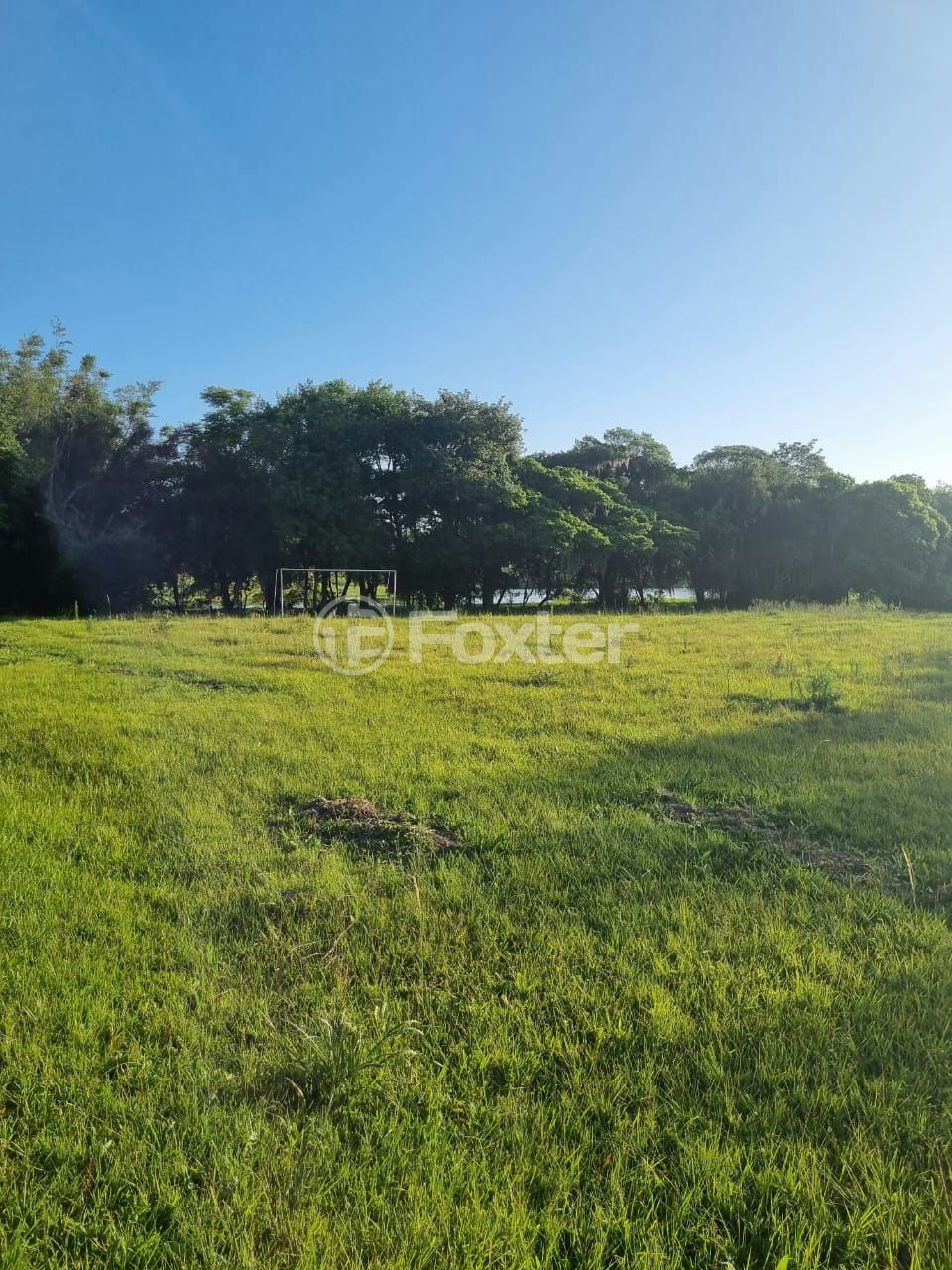 Sítio à venda com 3 quartos, 1085m² - Foto 33
