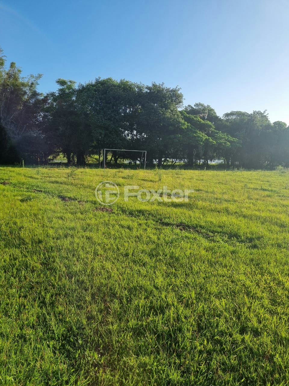 Sítio à venda com 3 quartos, 1085m² - Foto 44