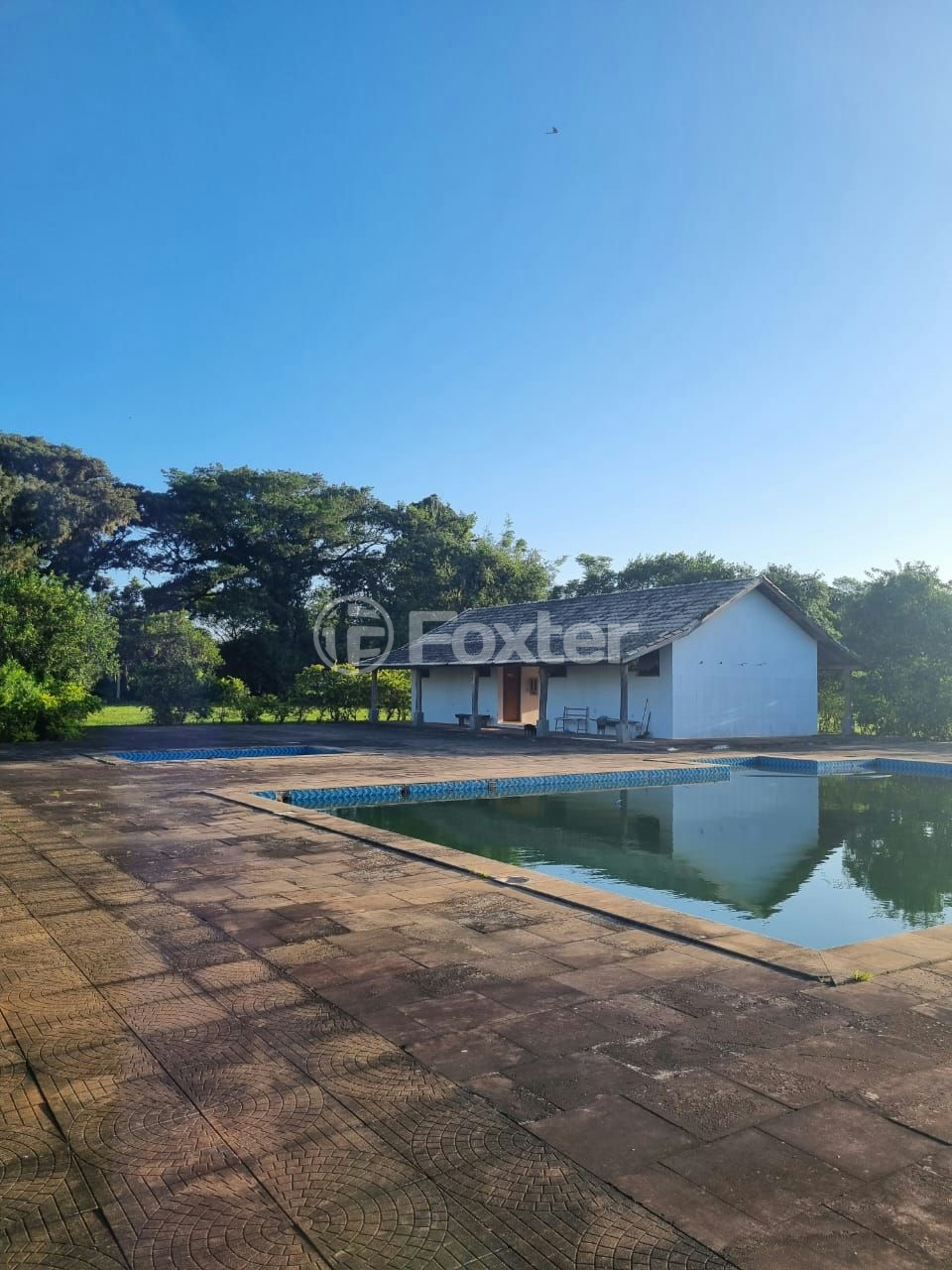 Sítio à venda com 3 quartos, 1085m² - Foto 15