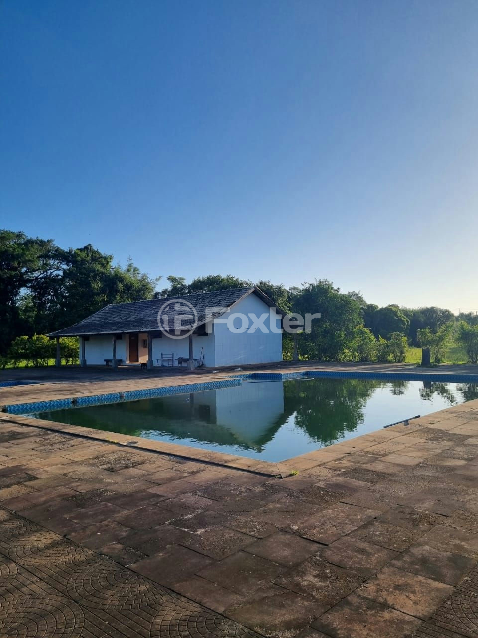 Sítio à venda com 3 quartos, 1085m² - Foto 11