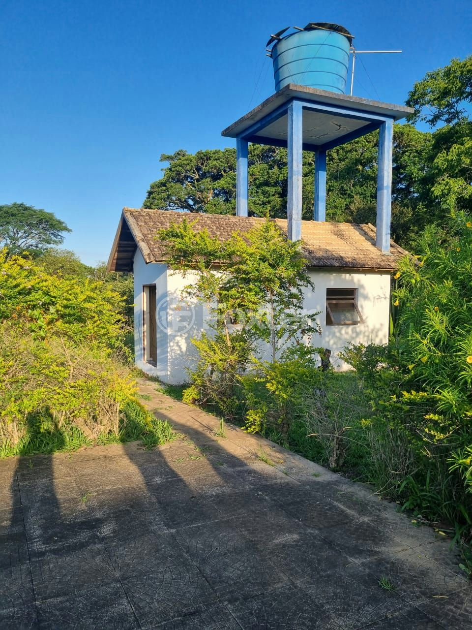 Sítio à venda com 3 quartos, 1085m² - Foto 47