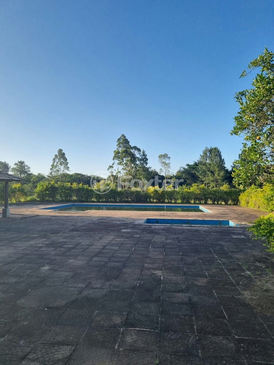 Sítio à venda com 3 quartos, 1085m² - Foto 10