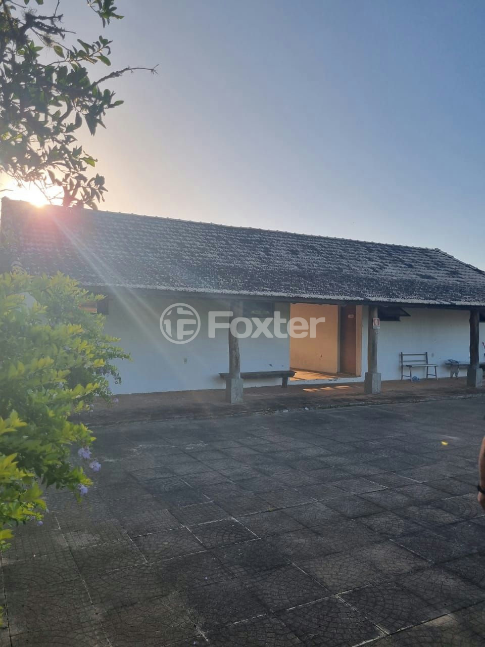 Sítio à venda com 3 quartos, 1085m² - Foto 9