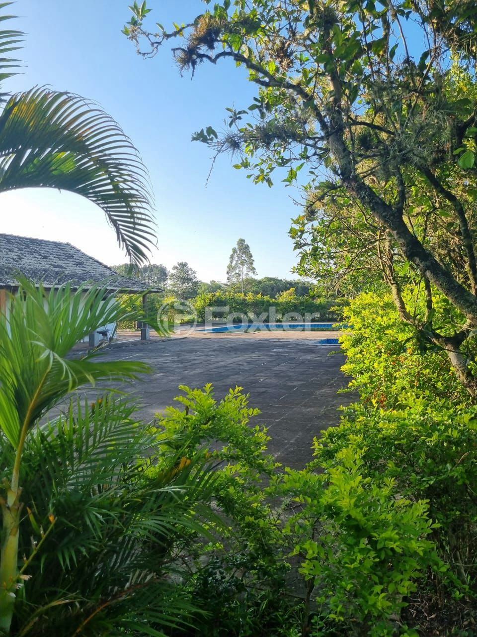 Sítio à venda com 3 quartos, 1085m² - Foto 43