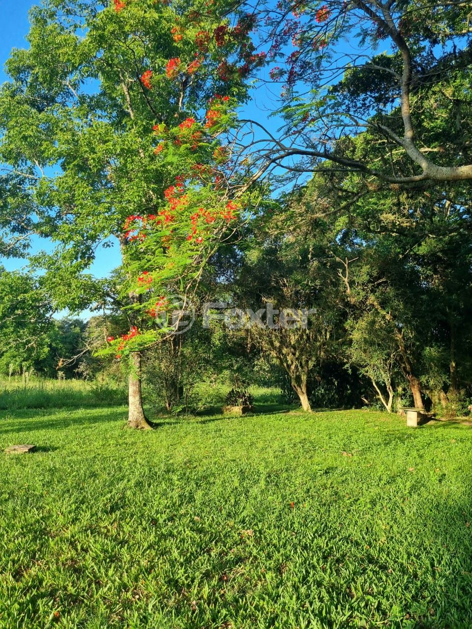 Sítio à venda com 3 quartos, 1085m² - Foto 73