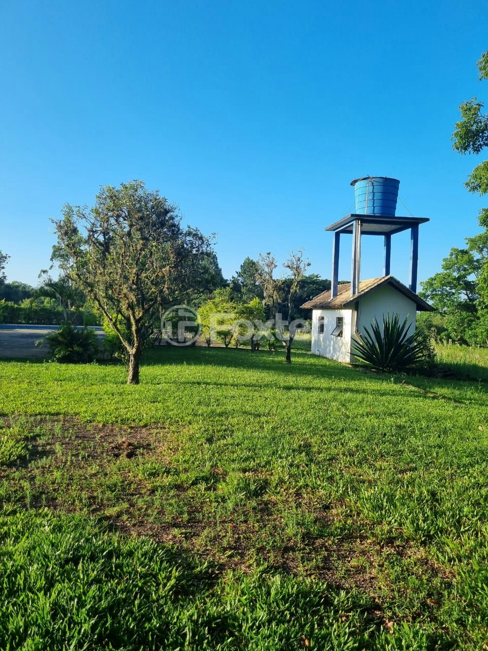 Sítio à venda com 3 quartos, 1085m² - Foto 49