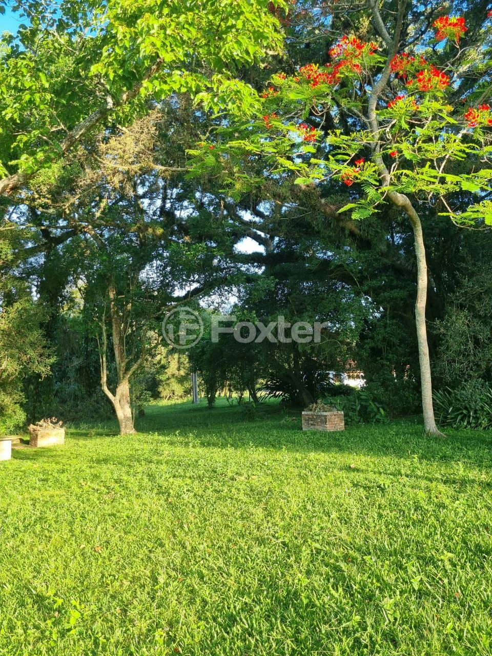 Sítio à venda com 3 quartos, 1085m² - Foto 68