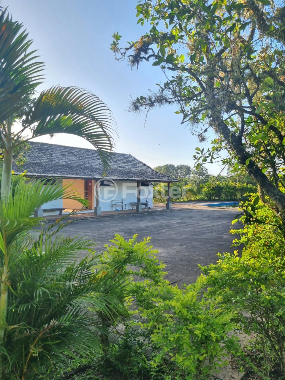 Sítio à venda com 3 quartos, 1085m² - Foto 45
