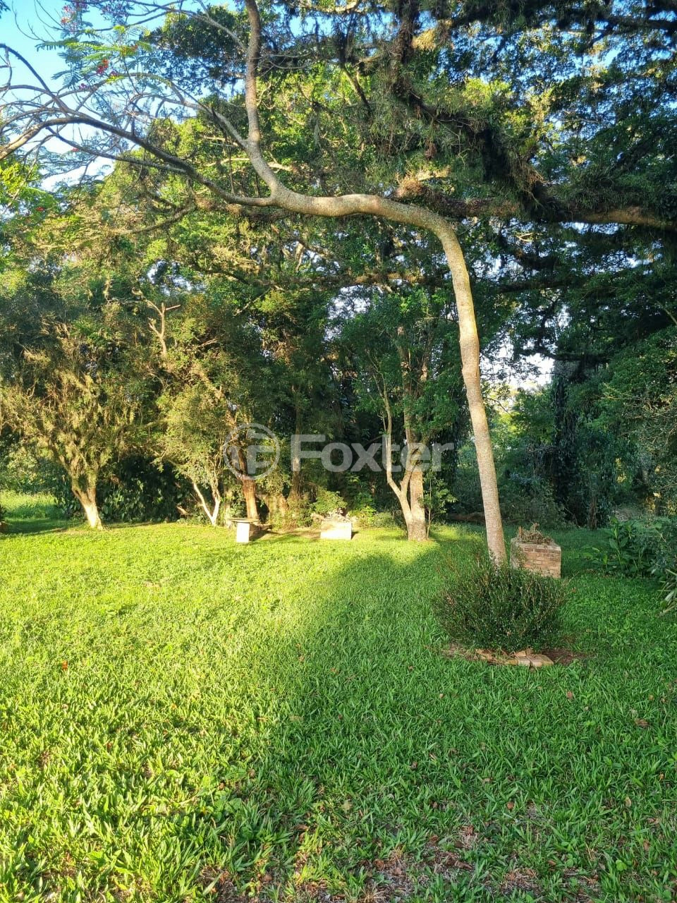 Sítio à venda com 3 quartos, 1085m² - Foto 69