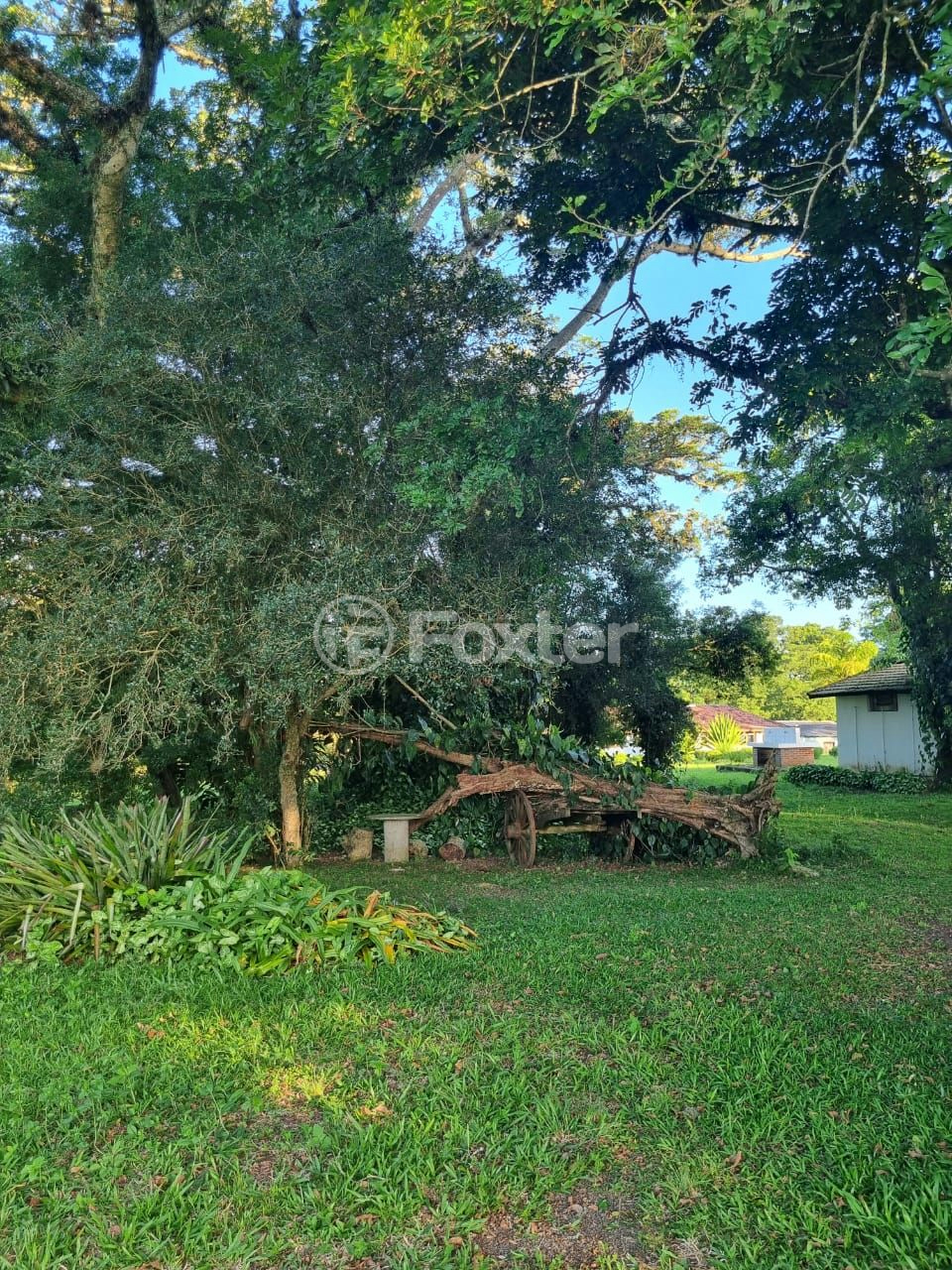 Sítio à venda com 3 quartos, 1085m² - Foto 63