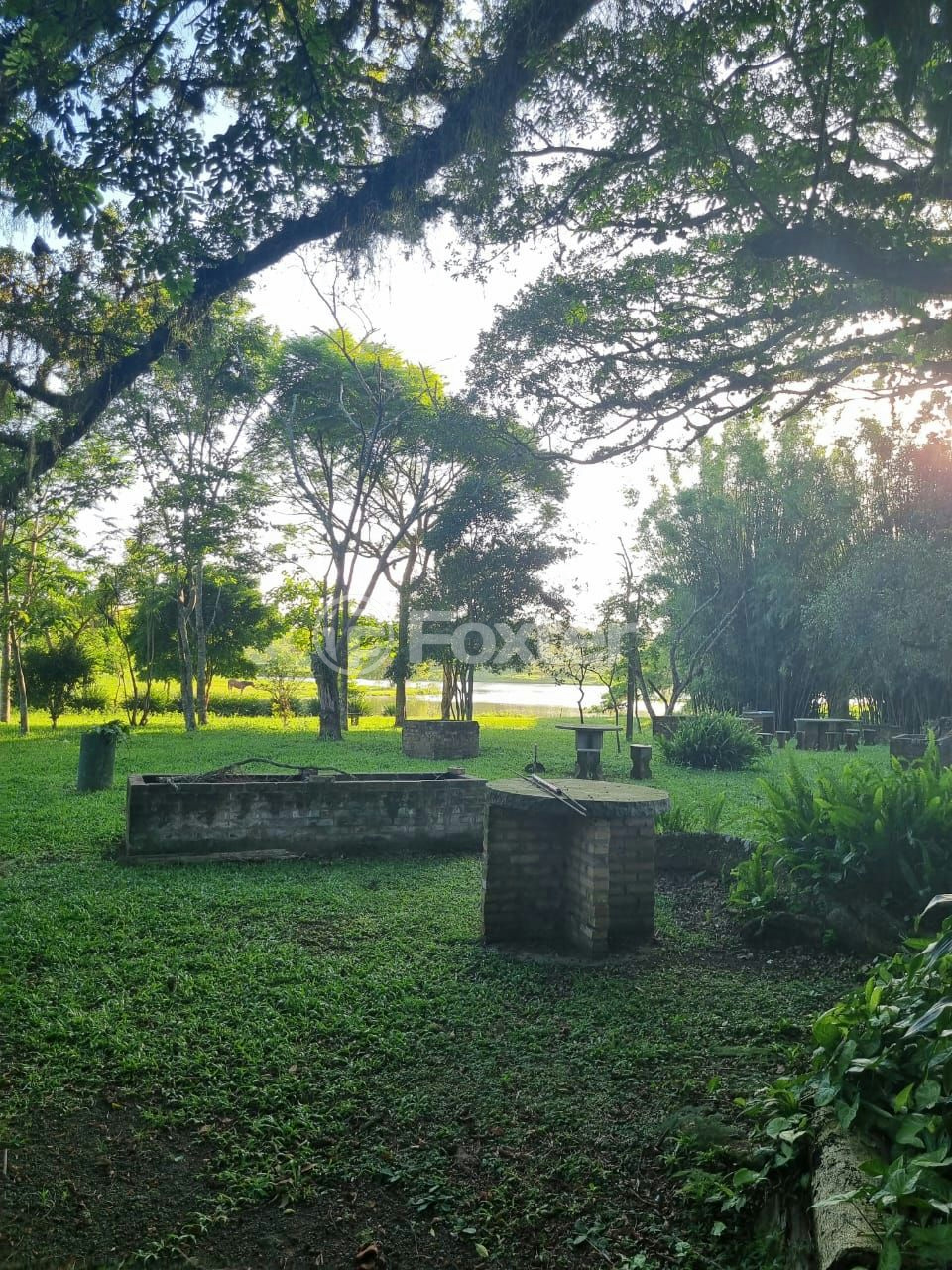 Sítio à venda com 3 quartos, 1085m² - Foto 56