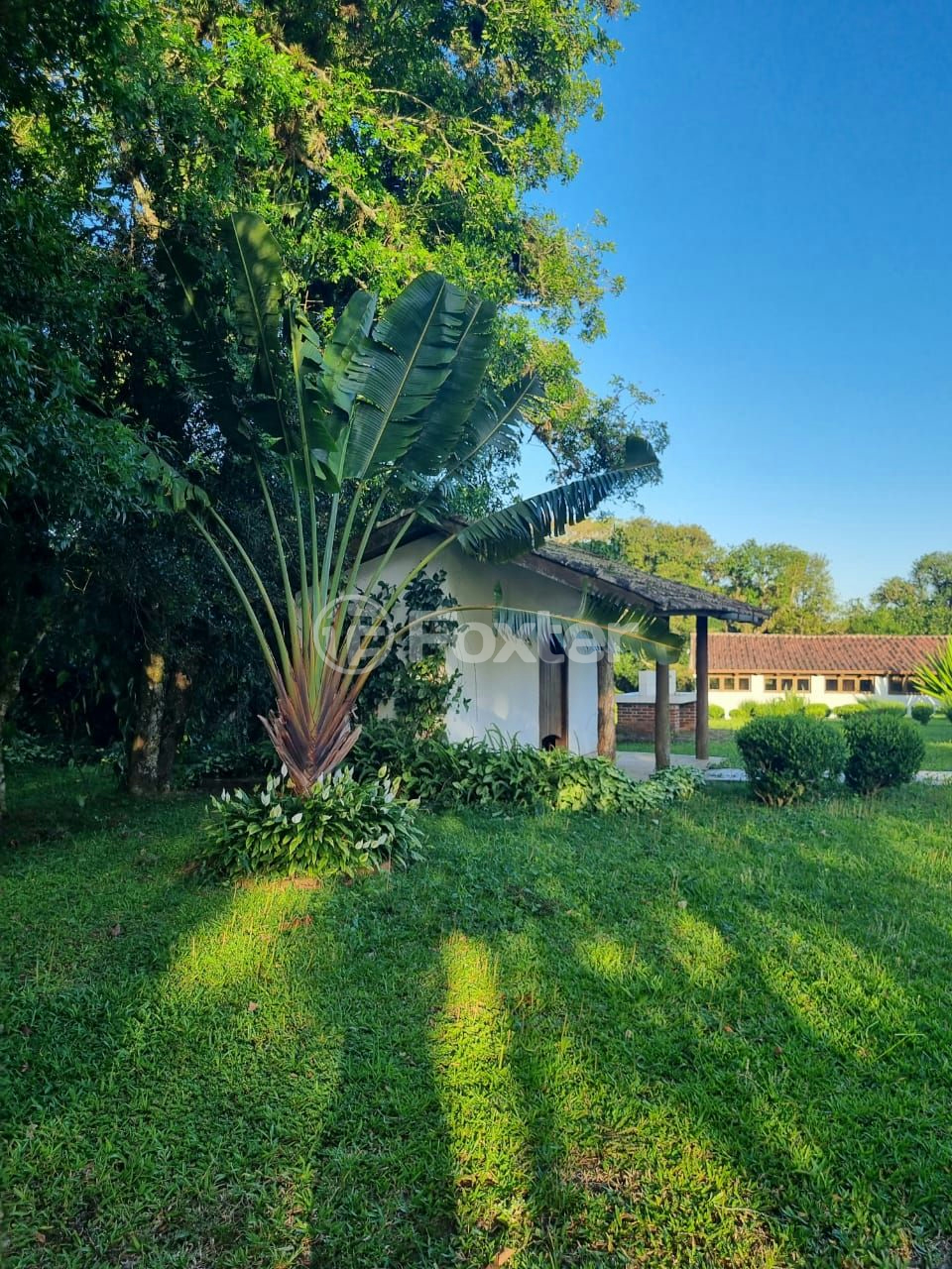 Sítio à venda com 3 quartos, 1085m² - Foto 55