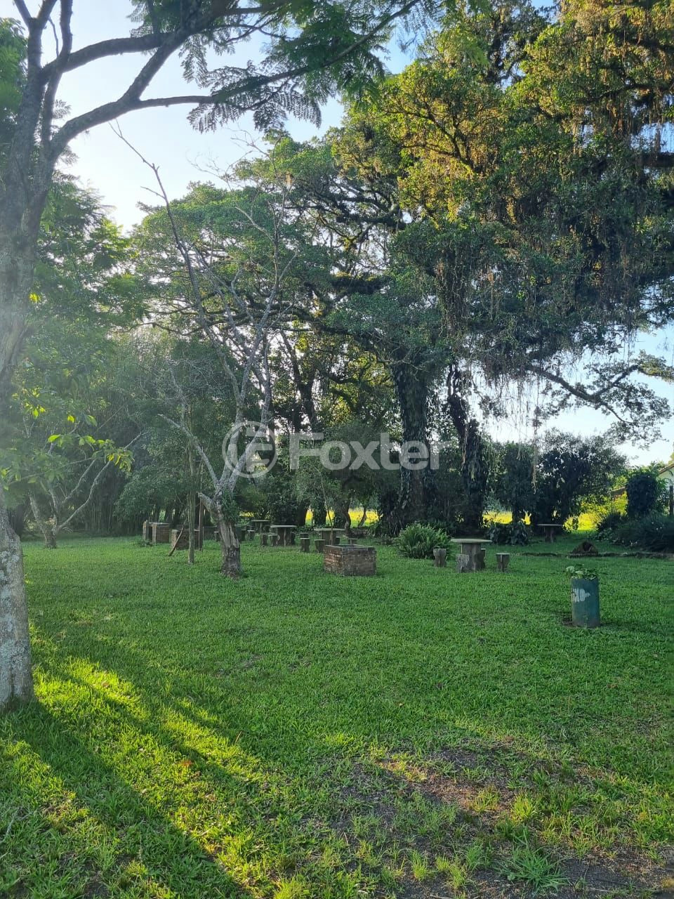 Sítio à venda com 3 quartos, 1085m² - Foto 57