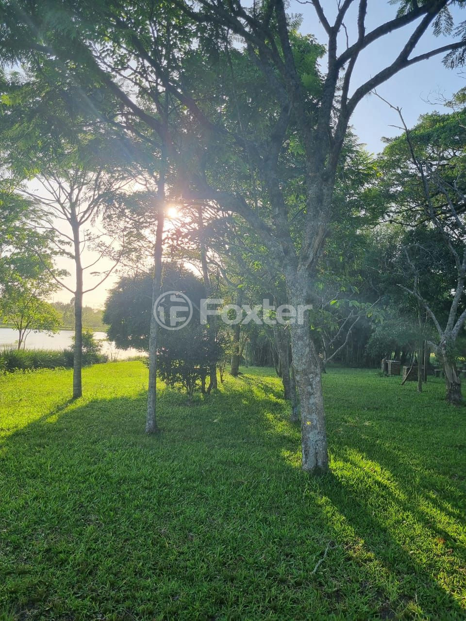 Sítio à venda com 3 quartos, 1085m² - Foto 53