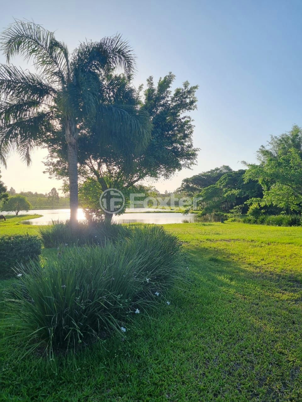 Sítio à venda com 3 quartos, 1085m² - Foto 38