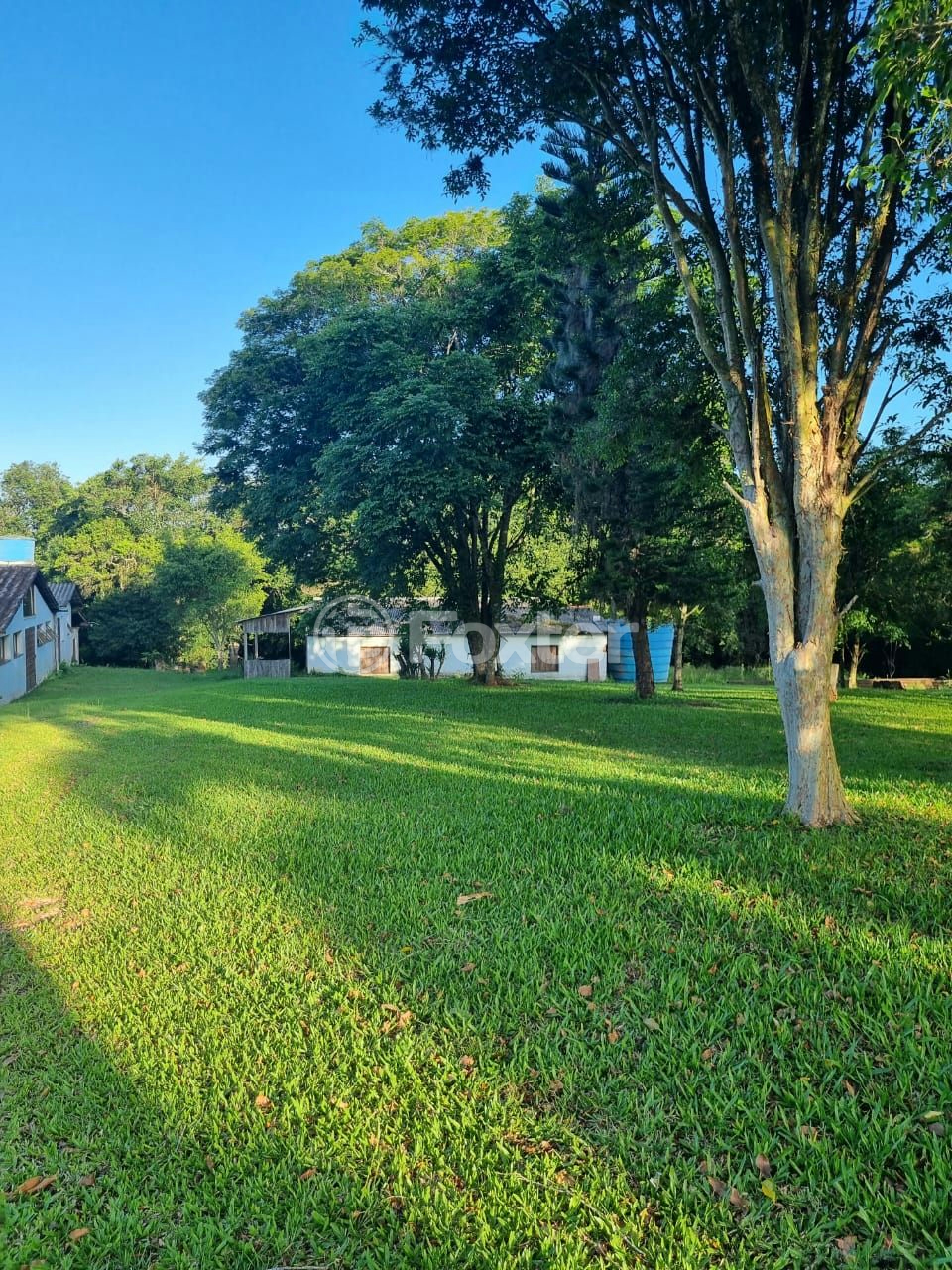 Sítio à venda com 3 quartos, 1085m² - Foto 58