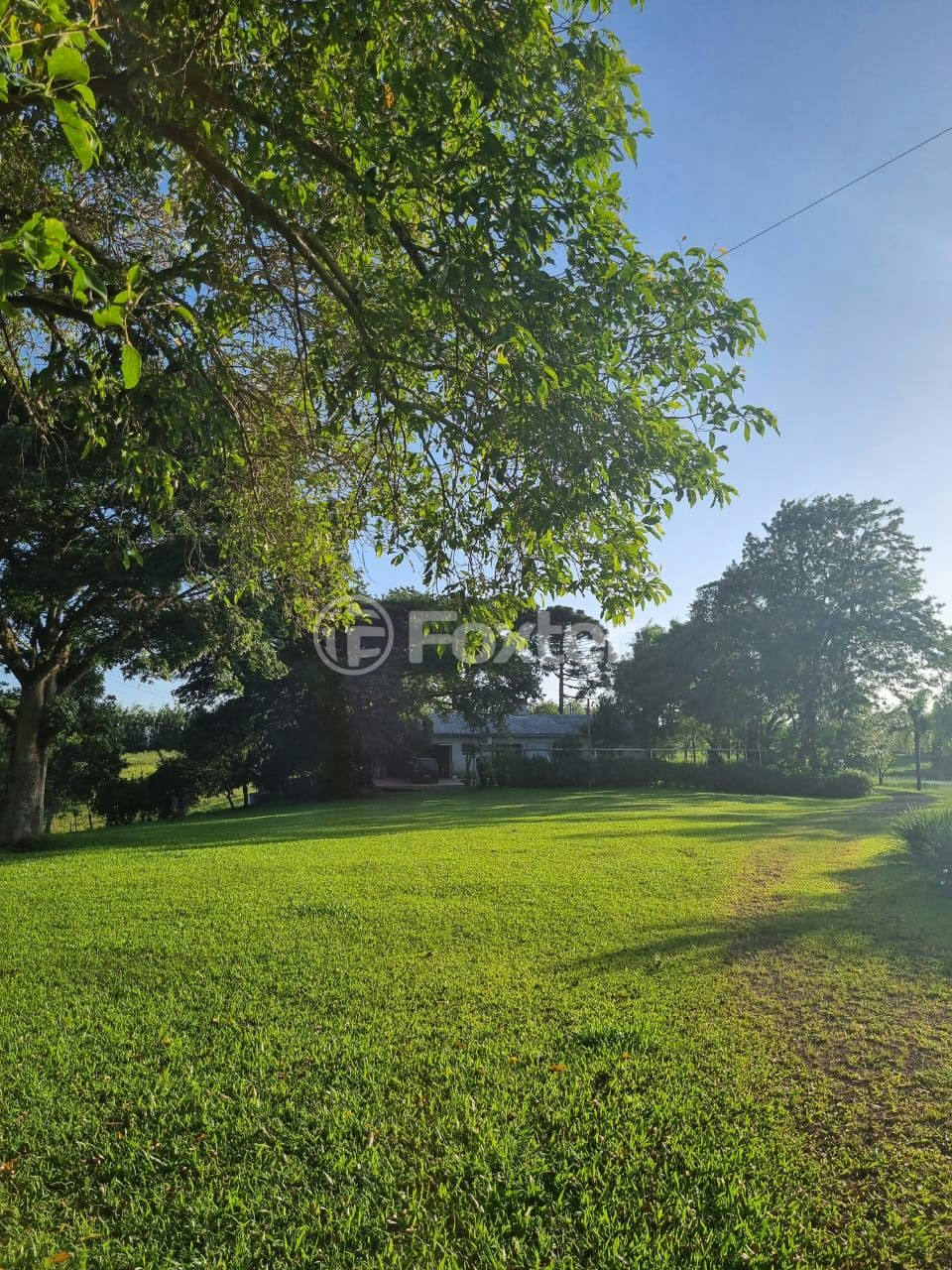 Sítio à venda com 3 quartos, 1085m² - Foto 59