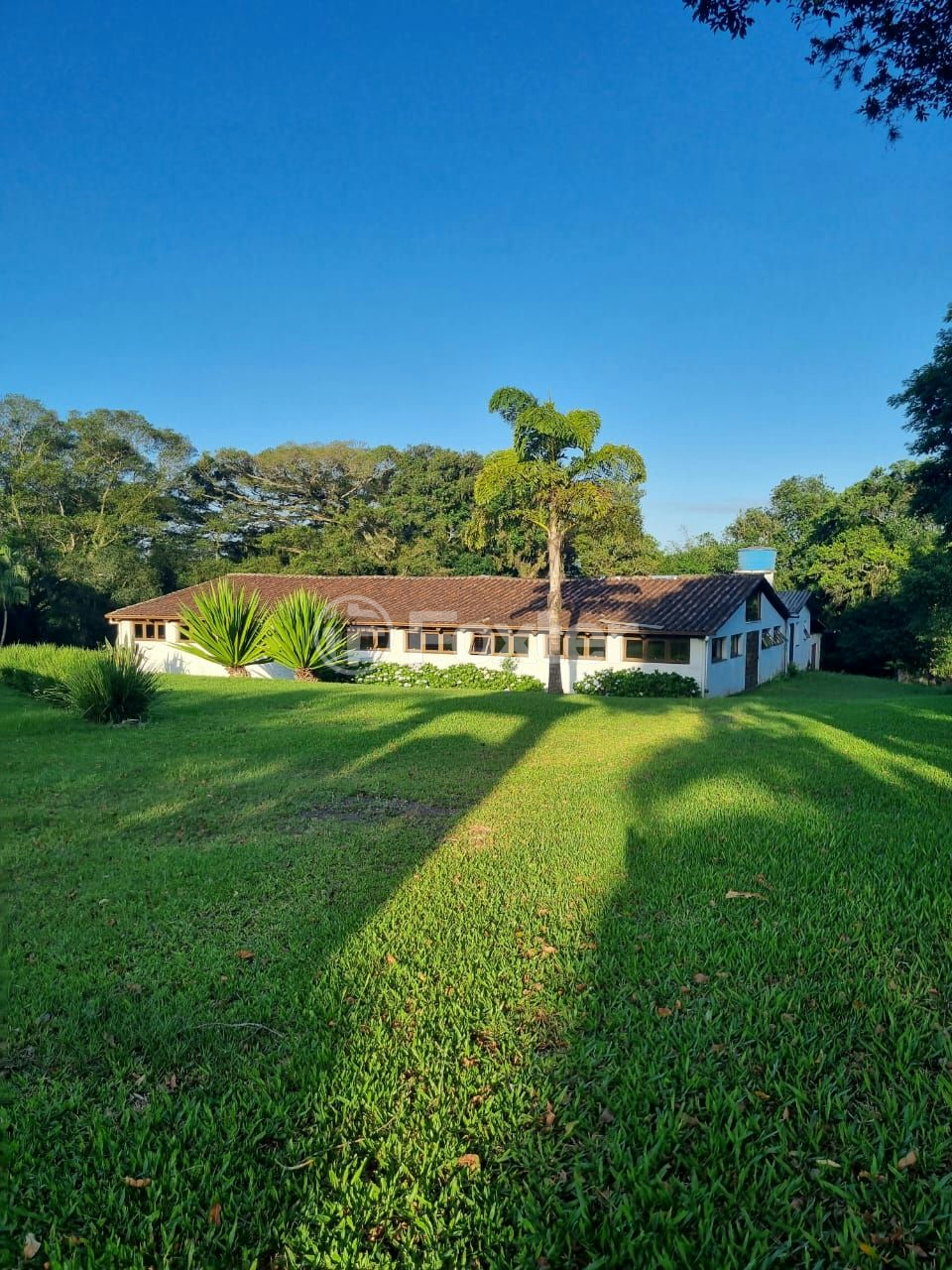 Sítio à venda com 3 quartos, 1085m² - Foto 39
